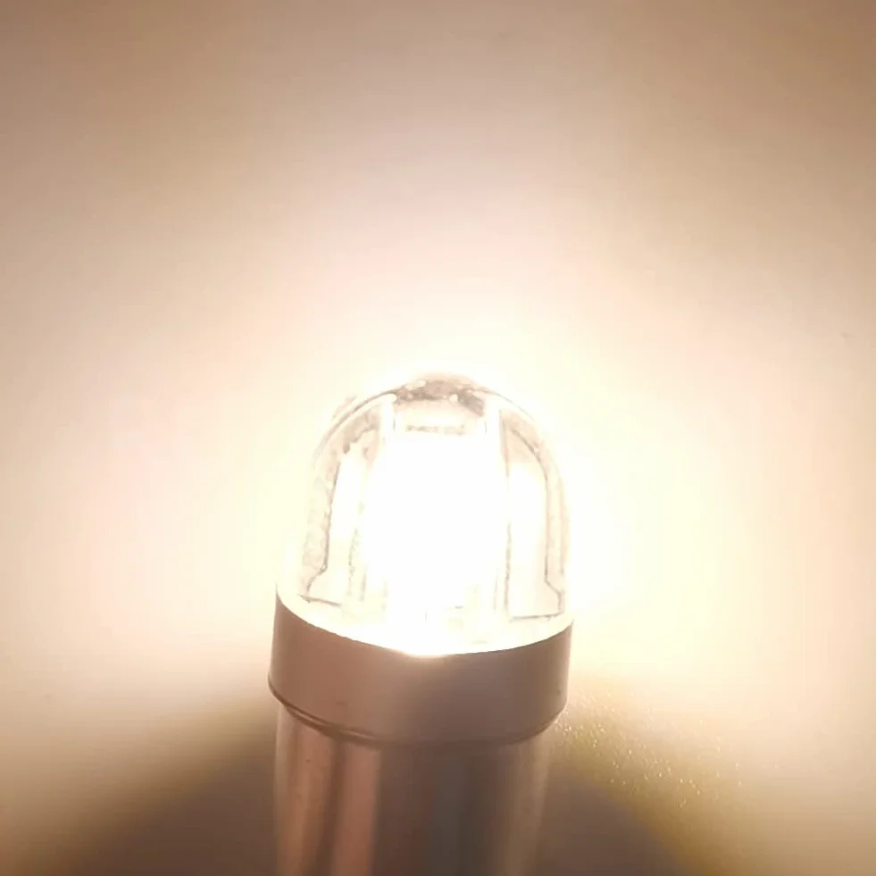 Ruiandsion BA9S Żarówka LED BA9 1895 1891 53 57 Ciepła Biel 12V Żarówka LED 3030 2SMD Chipsety LED Żarówki Zamienne do Wnętrza Samochodu Kopuła Mapa Tablica Rejestracyjna Oświetlenie Schowka na